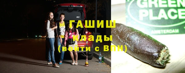 гидра Покачи
