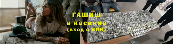 гидра Покачи