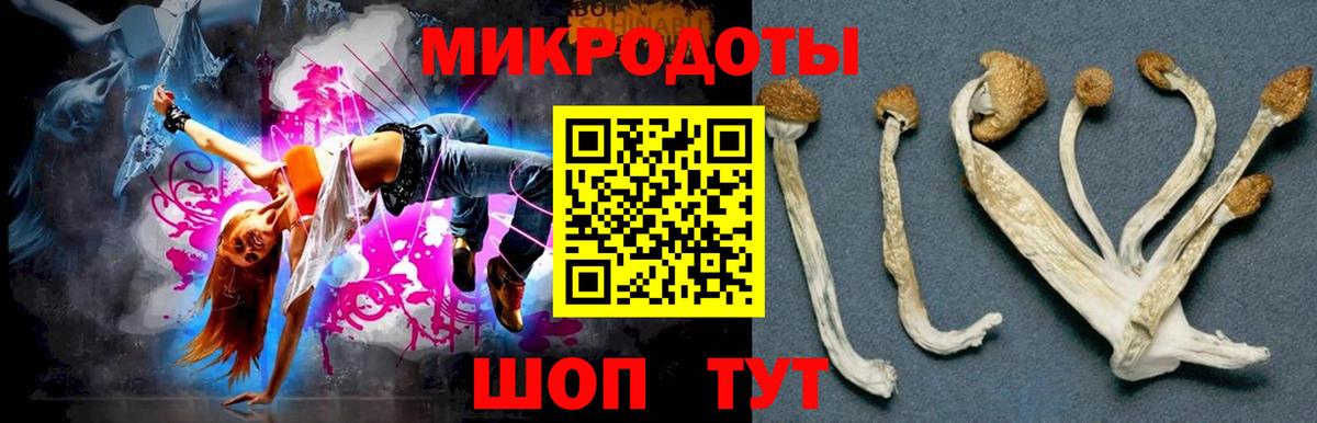 Псилоцибиновые грибы ЛСД Советск