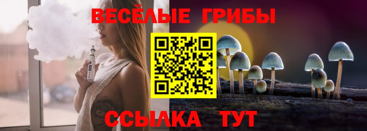 Советск  Галлюциногенные грибы мицелий  Вход с VPN 